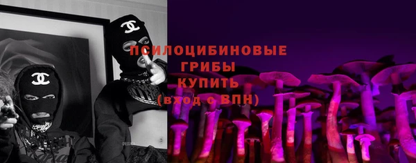 шишки Волоколамск