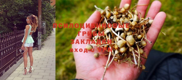 винт Володарск